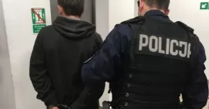 policja