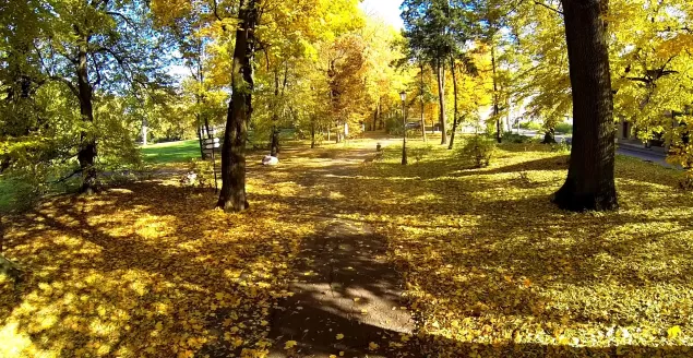 park w Pszczynie