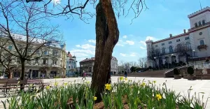 terazwbielsku,bielakobiała,bielsko,lovebb,placchrobrego,placchrobregobielsko,wiosna,słonecznie,fo