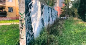 Murek Karpackie