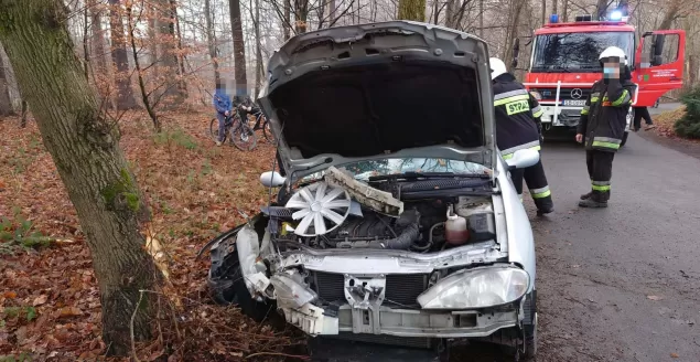 Pijany kierowca uderzył w drzewo - 2.01.2020