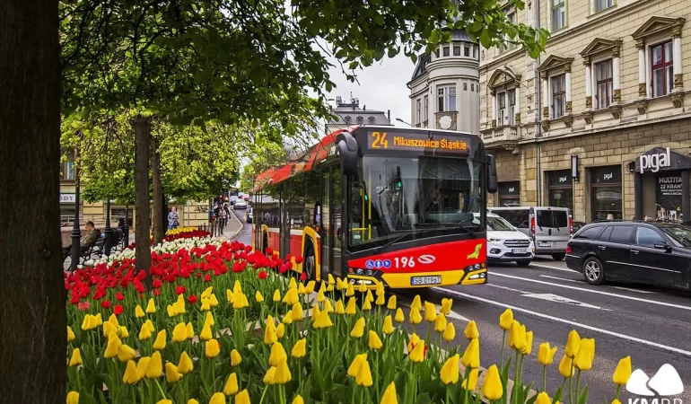W niedzielę (21 kwietnia) autobusy miejskie będą kursować bezpłatnie.