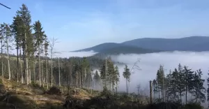 Beskidy z Tatrami w tle. Wędrujemy na Rysiankę