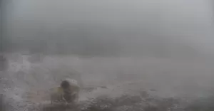 Pierwszy śnieg w Szczyrku - 13.10.2021