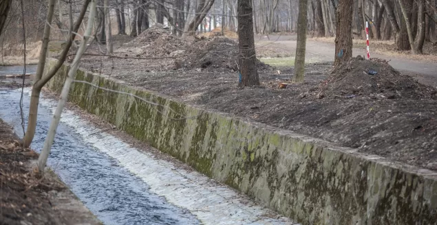 Przed zagospodarowaniem potoku - wycinka drzew i krzewów