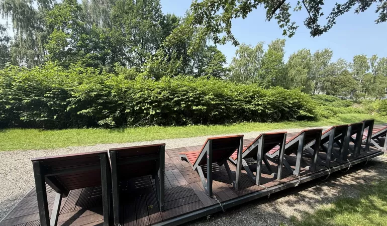 Plaża miejska nad Białą, czyli opalanie z widokiem na ścianę z rdestowca
