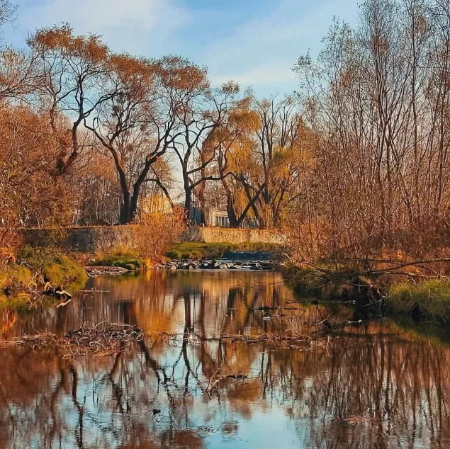 pocztówkazbielska,BielskoBiała,straconka,potokstraconka,jesień,fotodnia,instagram
