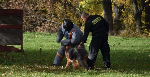 Skradli elementy trakcji kolejowej. Jednego z nich wytropił pies