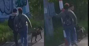 Uszkodził poszkodowanemu okulary o wartości 1600zł. Teraz szuka go policja