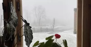 [FOTO] W Beskidach zrobiło się biało. Pojawił się pierwszy śnieg