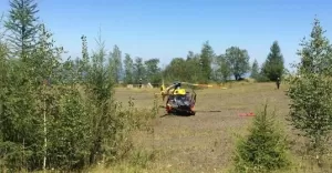 wypadek kozy