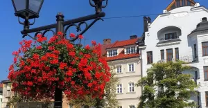 starówka,lato,bielskobiala,kamienice,słońce,rynek,bielsko,ilovebb,fotodnia,instagram