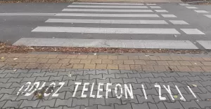 zebry