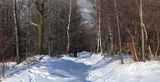 szlak, góry, beskidy
