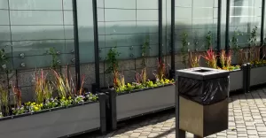 Zielony przystanek powstał na placu Mickiewicza. Wkrótce kolejne
