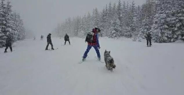 Akcja GOPR na Hali Skrzyczeńskiej - 4.02.2018