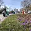 Wideo-dnia: szukamy wiosny w Bielsku-Białej!