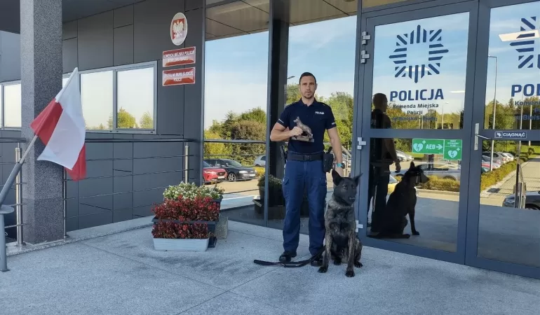 Policjant z Bielska-Białej i jego pies zdobyli srebrny medal na mistrzostwach kynologicznych