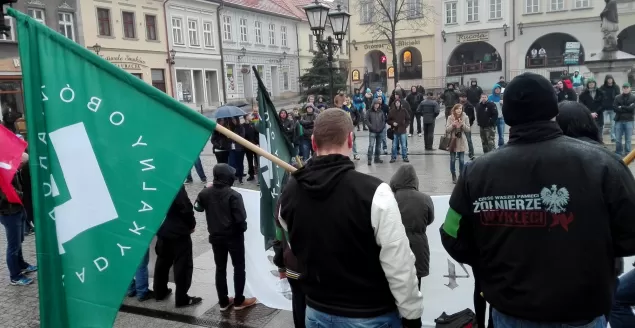 onr, demonstracja antyimigrancka