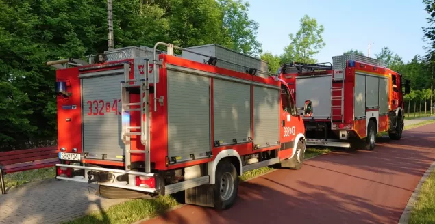Akcja straży pożarnej w Wapienicy - 16.06.2021