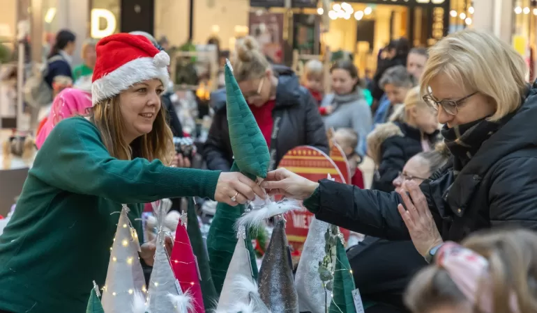 Poznaj bielskie organizacje pozarządowe