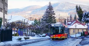 Kursowanie autobusów MZK w okresie świąteczno-noworocznym