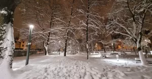 Ogrodnik miejski apeluje: nie wchodźcie do parków!