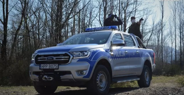 las, policja, radiowóz, policjant