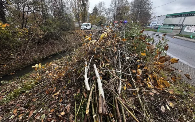 [FOTO] Wody Polskie posprzątają koryto rzeki Białej po powodzi, a co z potokiem Krzywa?