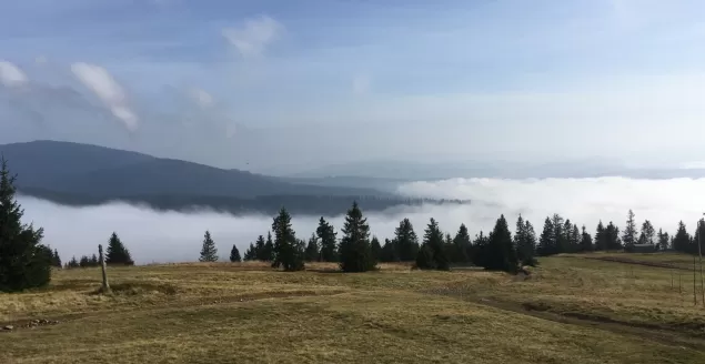 Beskidy z Tatrami w tle. Wędrujemy na Rysiankę