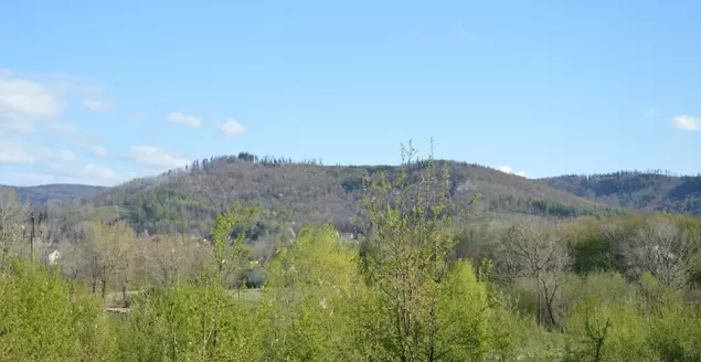 Palenica Jaworze