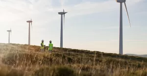 Elektrownia wiatrowa