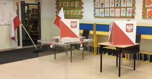 Wybory parlamentarne 2019, głosowanie