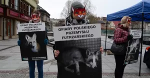 otwarte klatki
