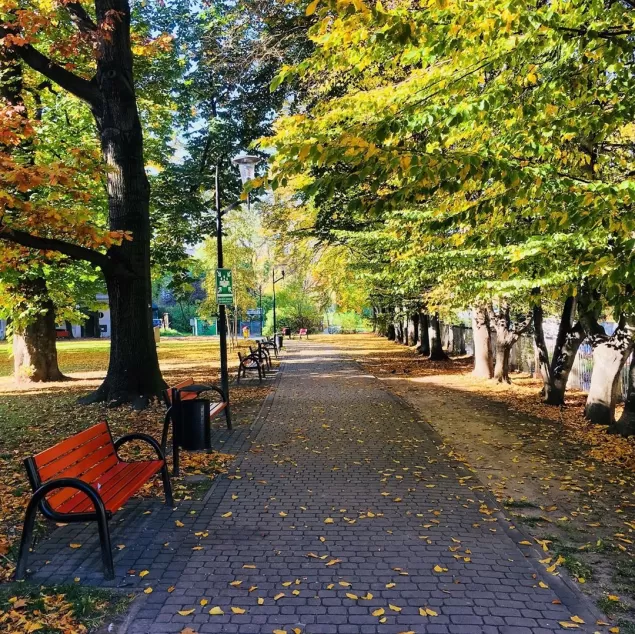 bielskobiała,bielsko,parkratuszowy,ratuszbielsko,jesień,ilovebb,fotodnia,instagram