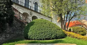 bielskobiala,bielsko,biała,zamekbielsko,zameksułkowskich,herb,wiosna,ilovebb,fotodnia,instagram