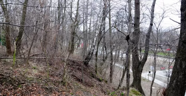 skarpa bulwary straceńskie