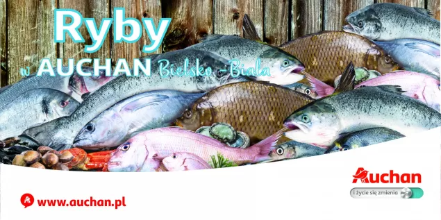 auchan ryby