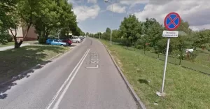 Liściasta