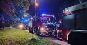 Strażacy usuwają skutki nawałnicy, która przeszła przez nasz region