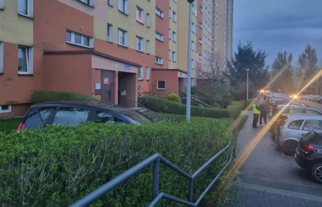Wypadł z drogi i skosił żywopłot. Wydmuchał dwa promile