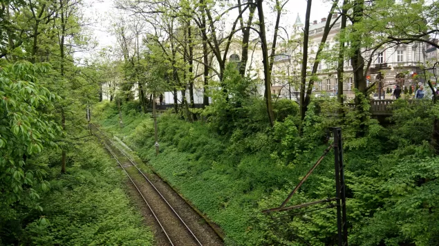 drzewa, tory, pociąg, tunel