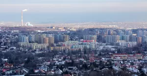 dębowiec
