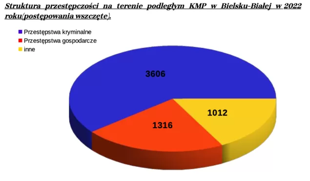 Które rejony miasta są najbardziej niebezpieczne? Podsumowali rok