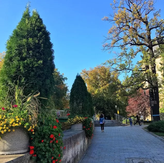 bielskobiała,biała,ratuszbielsko,parkratuszowy,złotajesień,babielato,ilovebb,fotodnia,instagram