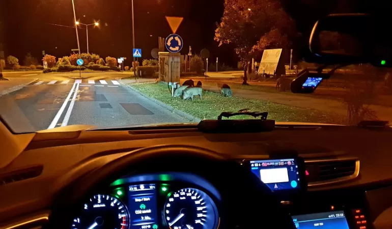 Usiądźcie wygodnie! Nie będzie progów zwalniających bo te generują spaliny!