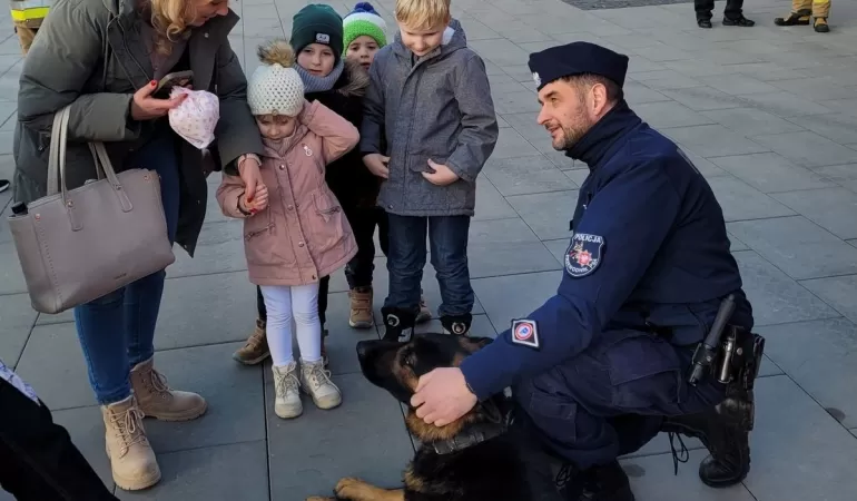 Policyjny pies Cezar pomógł odnaleźć zaginionego 84-latka z Bielska-Białej