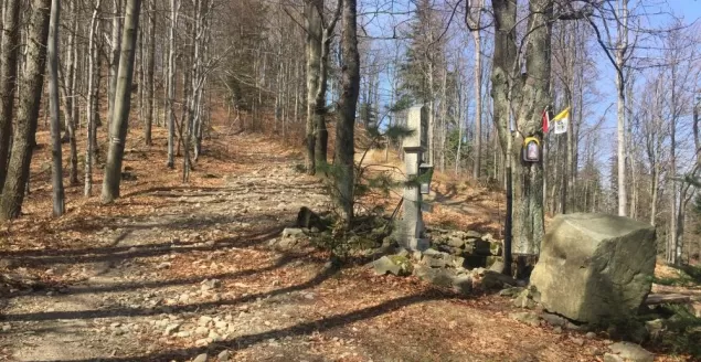 Utrudnienia na popularnym szlaku w Beskidzie Małym
