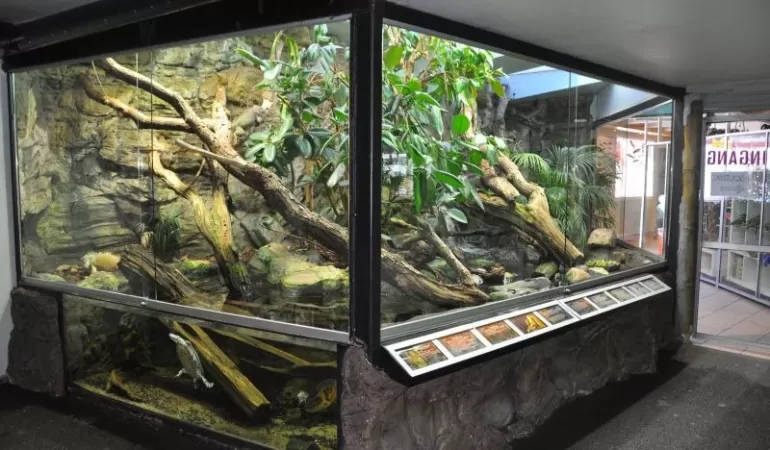 główne terrarium dla zolwia wodnego