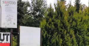 Witacz